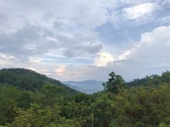 -广州白江湖森林公园