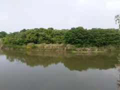 -南湖湿地公园