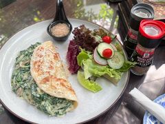 -Fern Forest Cafe