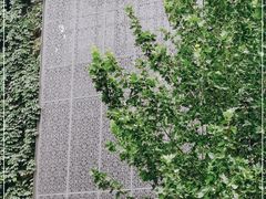 -张福记(陇海中路店)