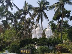 -东郊椰林