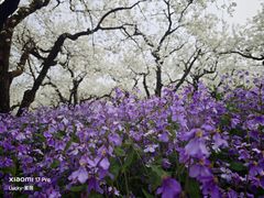 -江苏三台山国家森林公园