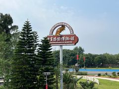 -自贡恐龙博物馆