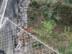 -石家庄市动物园