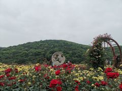 -龙寺生态园