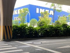 -洋湖国家湿地公园