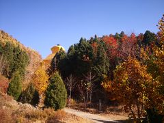 -遵化市禅林寺古银杏风景园