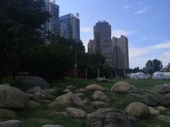 -沙澧河风景区