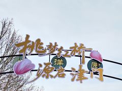 -桃花堤公园