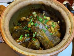 -甄御•海鲜新青岛菜(麦岛店)