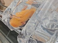 -汤姆熊欢乐世界(大连恒隆广场店)