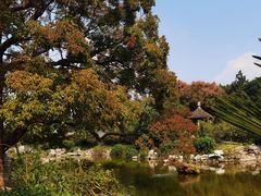 -花洲书院
