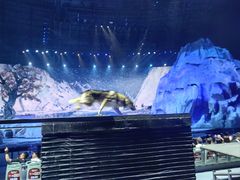 -华夏文旅西安度假区