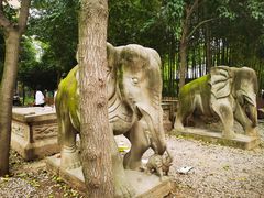 -西安大兴善寺