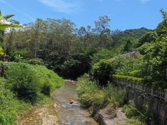 -广州白江湖森林公园