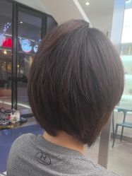 -天使之手