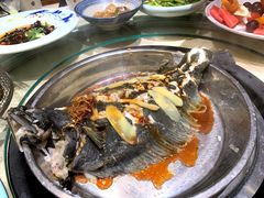 黑头鱼-大富蚝  沙子口烧鱼•海菜蒸包