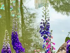 -人民公园(罗湖区)