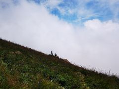 -白草畔自然风景区