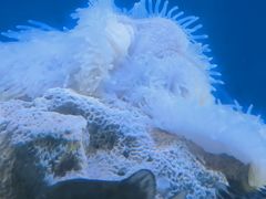 -海合安武汉极地海洋公园
