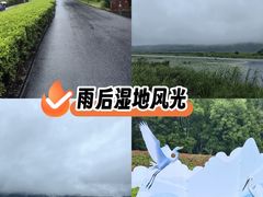 -腾冲北海湿地