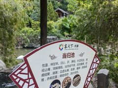 -河源客天下-温泉小镇