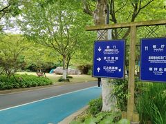 -上海滨江森林公园