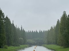 -黄海国家森林公园