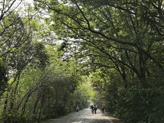 -盐城丹顶鹤湿地生态旅游区