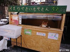 -鹿角巷The Alley(龙湖天街店)