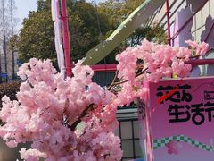 -金茂览秀城