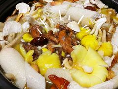 -菌之家·专业纯野生菌火锅·特色炒菌