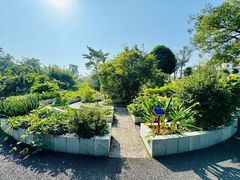-广西壮族自治区药用植物园