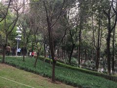 -重庆市江北嘴中央商务区中央公园