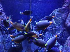 -成都浩海立方海洋公园