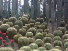 -南山植物园