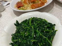 -海港酒家(翔龙湾广场店)
