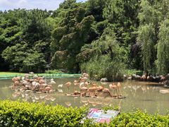 -宁波野生动物园