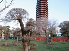 -西海子公园