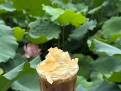 -三圣花乡旅游区