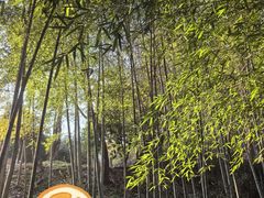 -兰亭风景区