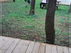-沈阳森林动物园