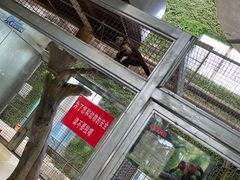 -武清南湖绿博园