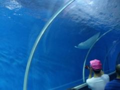 -北戴河圣蓝海洋公园