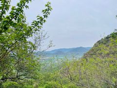 -鹫峰国家森林公园