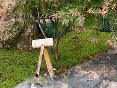 景观位-庆春朴门