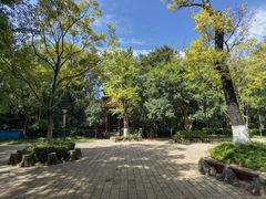 -洛龙公园