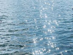 -阿山卓·野生菌火锅·纳西火塘烤肉