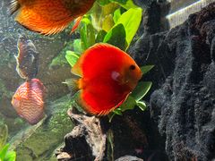 -上海海洋水族馆