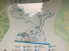 -都江堰中华大熊猫苑